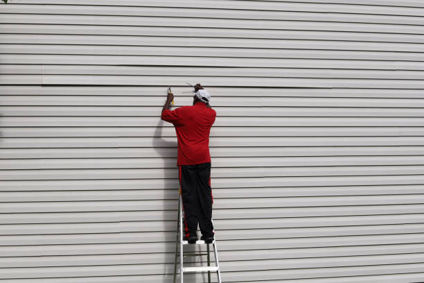 Best Insulated Siding Installation  in Burns Harbor, IN